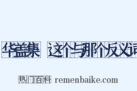华盖集·这个与那个反义词是什么意思的图片